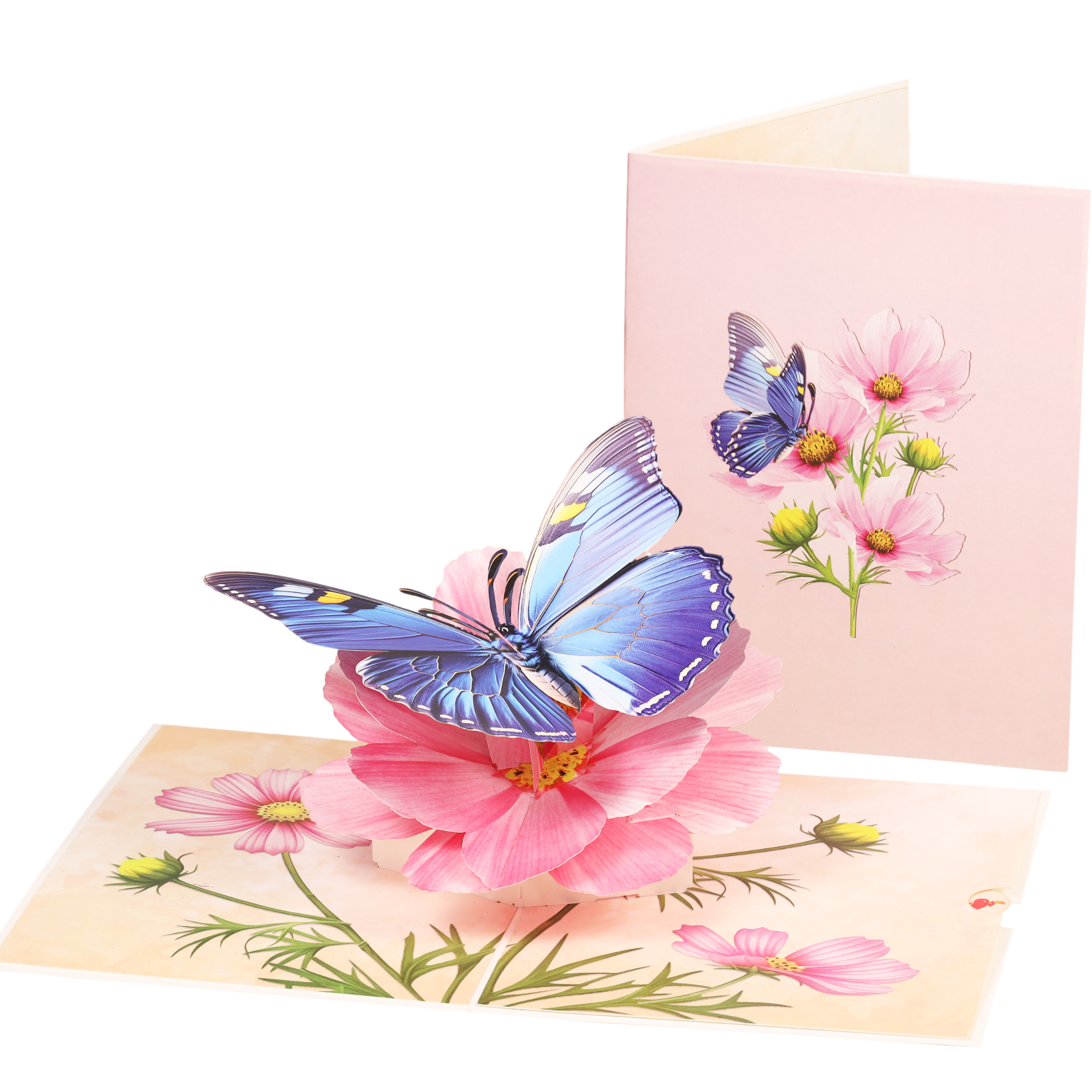 3D butterfly and cosmos flower pop-up Mother's Day card